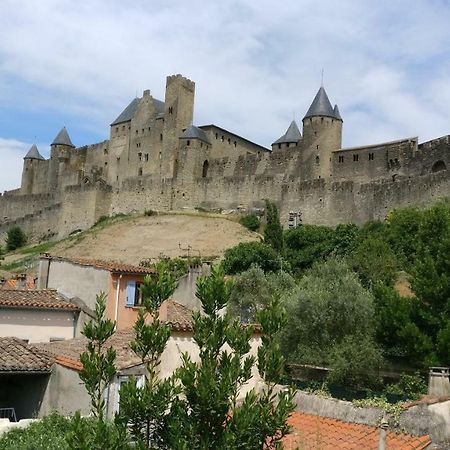 Montez Au Creneau, Face A La Cite Vue Sublime Apartment Carcassonne Bagian luar foto